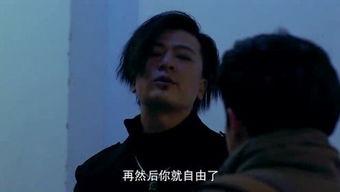 国产玖玖爱,探索中国本土爱情电影的独特魅力